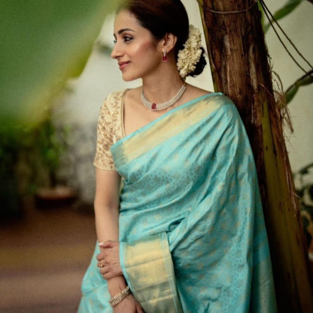 Trisha Mam inspired Saree